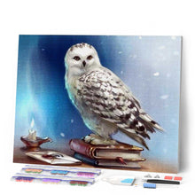 Afbeelding in Gallery-weergave laden, Diamond Painting - Uil en boek dieren, Diamond Painting Dieren, uilen