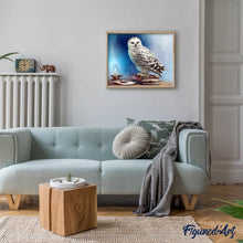 Afbeelding in Gallery-weergave laden, Diamond Painting - Uil en boek dieren, Diamond Painting Dieren, uilen