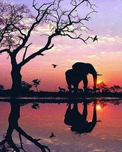 Afbeelding in Gallery-weergave laden, Diamond Painting - Olifant en zonsondergangzon dieren, Diamond Painting Dieren, olifanten