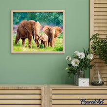 Afbeelding in Gallery-weergave laden, Diamond Painting - Olifanten Familie dieren, Diamond Painting Dieren, olifanten