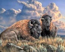 Afbeelding in Gallery-weergave laden, Diamond Painting - Bizon dieren, bizons en yaks, Diamond Painting Dieren