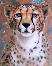 Afbeelding in Gallery-weergave laden, Diamond Painting - Cheetah gezicht dieren, Diamond Painting Dieren