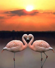 Afbeelding in Gallery-weergave laden, Diamond Painting - Verliefde flamingo's dieren, Diamond Painting Dieren, flamingo's