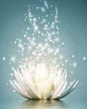 Afbeelding in Gallery-weergave laden, Diamond Painting - Magisch licht Diamond Painting Bloemen, bloemen