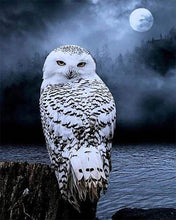 Afbeelding in Gallery-weergave laden, Diamond Painting - Witte Uil dieren, Diamond Painting Dieren, uilen