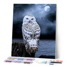 Afbeelding in Gallery-weergave laden, Diamond Painting - Witte Uil dieren, Diamond Painting Dieren, uilen