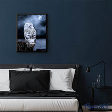 Afbeelding in Gallery-weergave laden, Diamond Painting - Witte Uil dieren, Diamond Painting Dieren, uilen