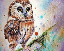 Afbeelding in Gallery-weergave laden, Diamond Painting - Uil ontwerp dieren, Diamond Painting Dieren, uilen