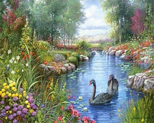 Afbeelding in Gallery-weergave laden, Diamond Painting - Zwarte Zwanen dieren, vogels, Diamond Painting Dieren, zwanen