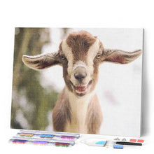 Afbeelding in Gallery-weergave laden, Diamond Painting - Klein schaap dieren, Diamond Painting Dieren