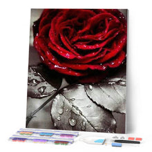 Afbeelding in Gallery-weergave laden, Diamond Painting - Rode roos Diamond Painting Bloemen, bloemen