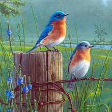 Afbeelding in Gallery-weergave laden, Diamond Painting - Kleine Vogels dieren, vogels, Diamond Painting Dieren