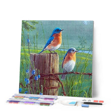 Afbeelding in Gallery-weergave laden, Diamond Painting - Kleine Vogels dieren, vogels, Diamond Painting Dieren