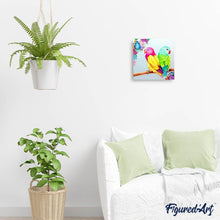 Afbeelding in Gallery-weergave laden, Diamond Painting - Kleurrijke parkieten dieren, Diamond Painting Dieren