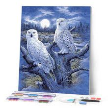 Afbeelding in Gallery-weergave laden, Diamond Painting - Uilen en maan dieren, Diamond Painting Dieren, uilen