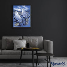 Afbeelding in Gallery-weergave laden, Diamond Painting - Uilen en maan dieren, Diamond Painting Dieren, uilen