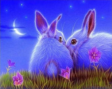 Afbeelding in Gallery-weergave laden, Diamond Painting - Schattige konijnen dieren, Diamond Painting Dieren, konijnen