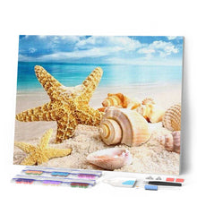 Afbeelding in Gallery-weergave laden, Diamond Painting - Schelpen en Sea Star dieren, Diamond Painting Dieren