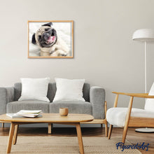 Afbeelding in Gallery-weergave laden, Diamond Painting - Sharpey slaapt dieren, Diamond Painting Dieren