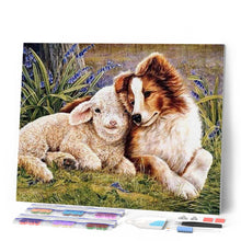 Afbeelding in Gallery-weergave laden, Diamond Painting - Hond en schaap dieren, Diamond Painting Dieren, honden
