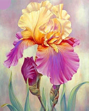 Afbeelding in Gallery-weergave laden, Diamond Painting - Iris bicolor Diamond Painting Bloemen, bloemen