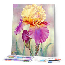 Afbeelding in Gallery-weergave laden, Diamond Painting - Iris bicolor Diamond Painting Bloemen, bloemen