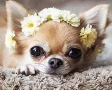 Afbeelding in Gallery-weergave laden, Diamond Painting - Kleine hond en bloemenkrans dieren, Diamond Painting Dieren, honden, bloemen