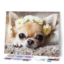 Afbeelding in Gallery-weergave laden, Diamond Painting - Kleine hond en bloemenkrans dieren, Diamond Painting Dieren, honden, bloemen