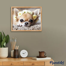 Afbeelding in Gallery-weergave laden, Diamond Painting - Kleine hond en bloemenkrans dieren, Diamond Painting Dieren, honden, bloemen