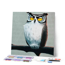 Afbeelding in Gallery-weergave laden, Diamond Painting - Slaperige uil dieren, Diamond Painting Dieren, uilen