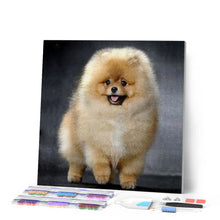 Afbeelding in Gallery-weergave laden, Diamond Painting - Chow Chow dieren, Diamond Painting Dieren