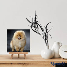 Afbeelding in Gallery-weergave laden, Diamond Painting - Chow Chow dieren, Diamond Painting Dieren