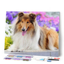 Afbeelding in Gallery-weergave laden, Diamond Painting - Collie dieren, Diamond Painting Dieren