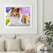 Afbeelding in Gallery-weergave laden, Diamond Painting - Collie dieren, Diamond Painting Dieren