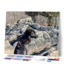 Afbeelding in Gallery-weergave laden, Diamond Painting - Rots en hond dieren, Diamond Painting Dieren, honden