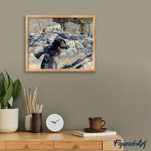 Afbeelding in Gallery-weergave laden, Diamond Painting - Rots en hond dieren, Diamond Painting Dieren, honden