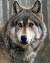 Afbeelding in Gallery-weergave laden, Diamond Painting - Wolf portret dieren, Diamond Painting Dieren