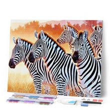 Afbeelding in Gallery-weergave laden, Diamond Painting - Zebra Familie dieren, Diamond Painting Dieren, zebra's