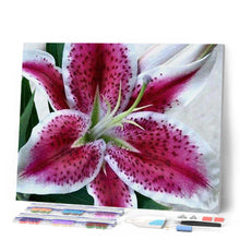 Afbeelding in Gallery-weergave laden, Diamond Painting - Rode Lelie Diamond Painting Bloemen, bloemen