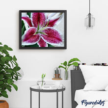 Afbeelding in Gallery-weergave laden, Diamond Painting - Rode Lelie Diamond Painting Bloemen, bloemen