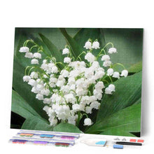 Afbeelding in Gallery-weergave laden, Diamond Painting - Lelietje-van-dalen Bloemen Diamond Painting Bloemen, bloemen