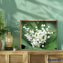 Afbeelding in Gallery-weergave laden, Diamond Painting - Lelietje-van-dalen Bloemen Diamond Painting Bloemen, bloemen
