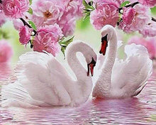 Afbeelding in Gallery-weergave laden, Diamond Painting - Zwanen in de lente dieren, vogels, Diamond Painting Dieren, zwanen