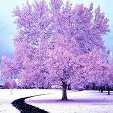 Afbeelding in Gallery-weergave laden, Diamond Painting - Roze boom in de sneeuw Diamond Painting Landschappen, landschappen, bomen, winter