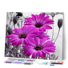 Afbeelding in Gallery-weergave laden, Diamond Painting - Paarse madeliefjes Diamond Painting Bloemen, bloemen
