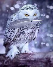 Afbeelding in Gallery-weergave laden, Diamond Painting - Uilenveer dieren, Diamond Painting Dieren, uilen
