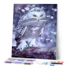 Afbeelding in Gallery-weergave laden, Diamond Painting - Uilenveer dieren, Diamond Painting Dieren, uilen