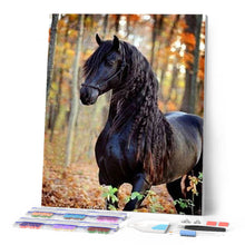 Afbeelding in Gallery-weergave laden, Diamond Painting - Zwarte merrie dieren, Diamond Painting Dieren