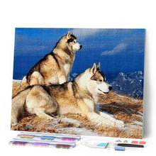 Afbeelding in Gallery-weergave laden, Diamond Painting - Husky's dieren, Diamond Painting Dieren