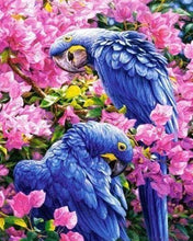 Afbeelding in Gallery-weergave laden, Diamond Painting - Blauwe papegaaien dieren, vogels, Diamond Painting Dieren, Diamond Painting Bloemen, bloemen, papegaaien